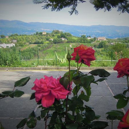 La Dimora Di Radha B&B Centro Olistico Rende Buitenkant foto