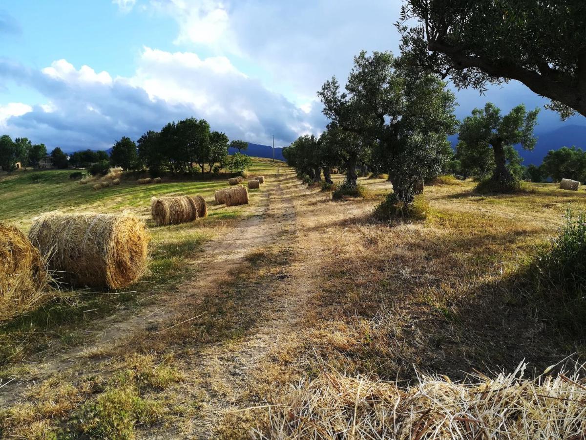 La Dimora Di Radha B&B Centro Olistico Rende Buitenkant foto