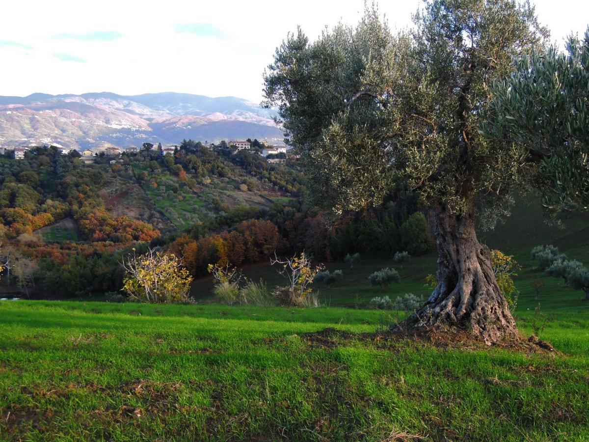 La Dimora Di Radha B&B Centro Olistico Rende Buitenkant foto