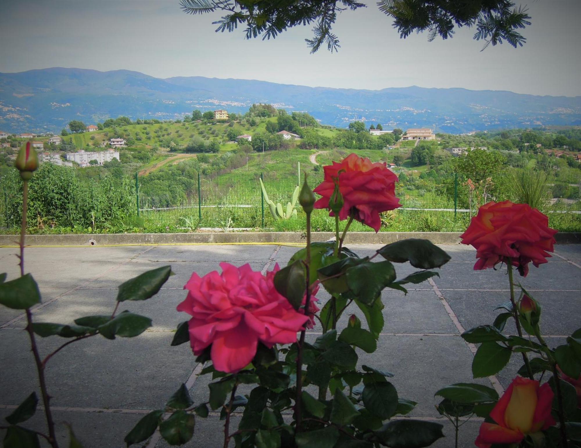 La Dimora Di Radha B&B Centro Olistico Rende Buitenkant foto